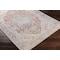 Livabliss Alanya ALY-2303 Machine Washable Area Rug ALY2303-7696 - alternate 2